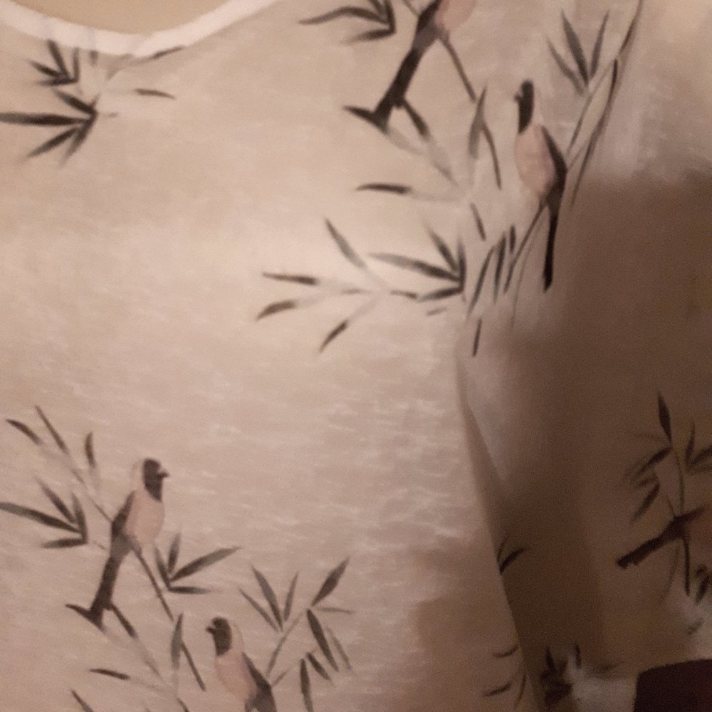 Sheer Top - Picture 4 of 7